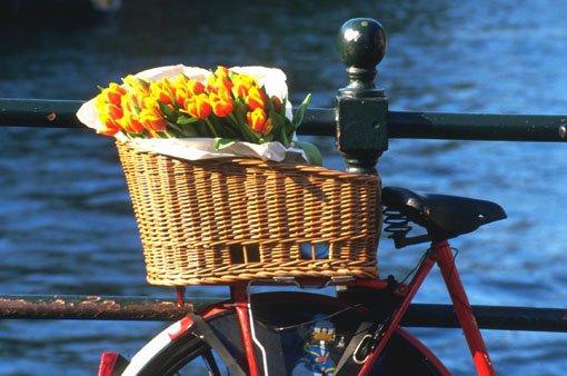 blumen
